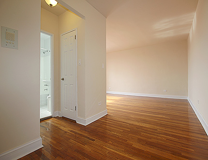 Apartment 139th Street  Queens, NY 11435, MLS-RD1107-9