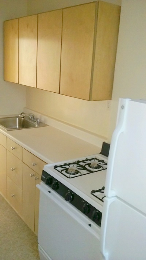 Apartment Steinway St  Queens, NY 11101, MLS-RD1168-3