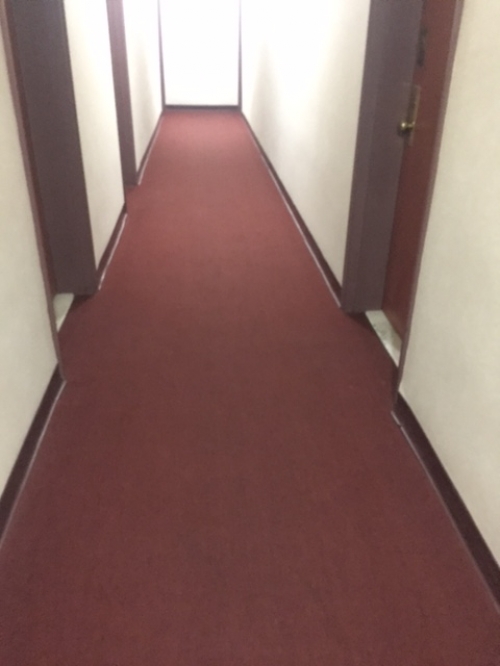 Apartment Queens Blvd Queens, NY 11375, MLS-RD1331-2