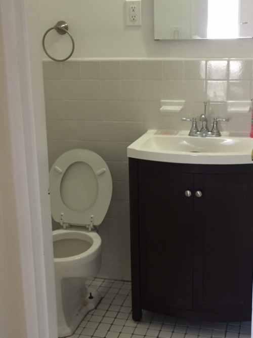 Apartment Queens Blvd Queens, NY 11375, MLS-RD1331-3