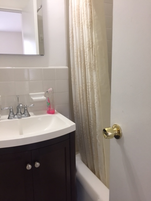 Apartment Queens Blvd Queens, NY 11375, MLS-RD1331-4