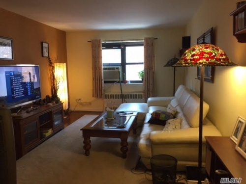 Coop 67th Road Queens, NY 11375, MLS-RD1394-2