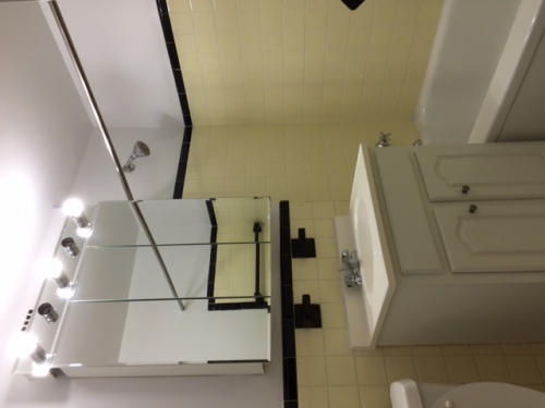 63rd Drive Queens, NY 11374, MLS-RD1418-2