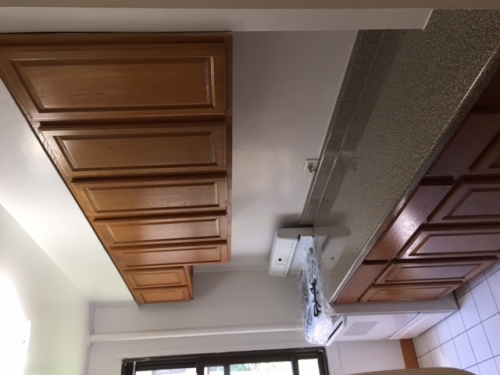 63rd Drive Queens, NY 11374, MLS-RD1418-5