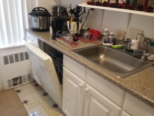 Apartment 108th Street  Queens, NY 11375, MLS-RD1449-2