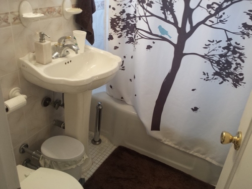 Apartment 108th Street  Queens, NY 11375, MLS-RD1449-5