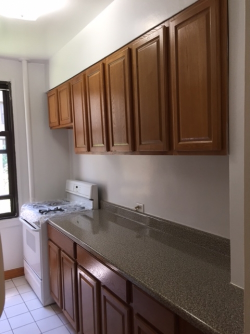 Apartment 63rd Drive Queens, NY 11374, MLS-RD1546-5