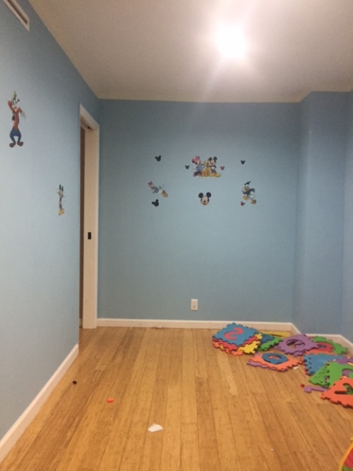 Apartment 84 Drive  Queens, NY 11435, MLS-RD1591-8