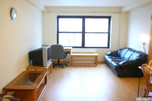 Coop 102nd St  Queens, NY 11374, MLS-RD176-5