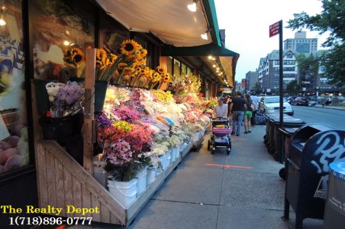 Coop Austin Street  Queens, NY 11375, MLS-RD253-9