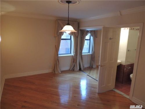 Coop 139th Street  Queens, NY 11435, MLS-RD538-7