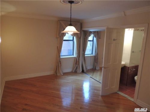 Coop 139th Street  Queens, NY 11435, MLS-RD538-7