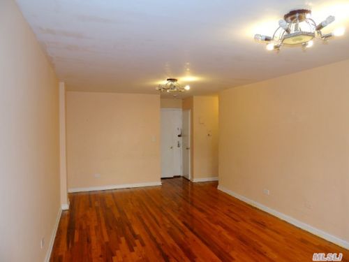 Coop Dartmouth Street  Queens, NY 11375, MLS-RD540-3