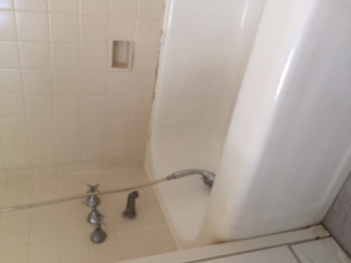  108th Street  Queens, NY 11375, MLS-RD942-3